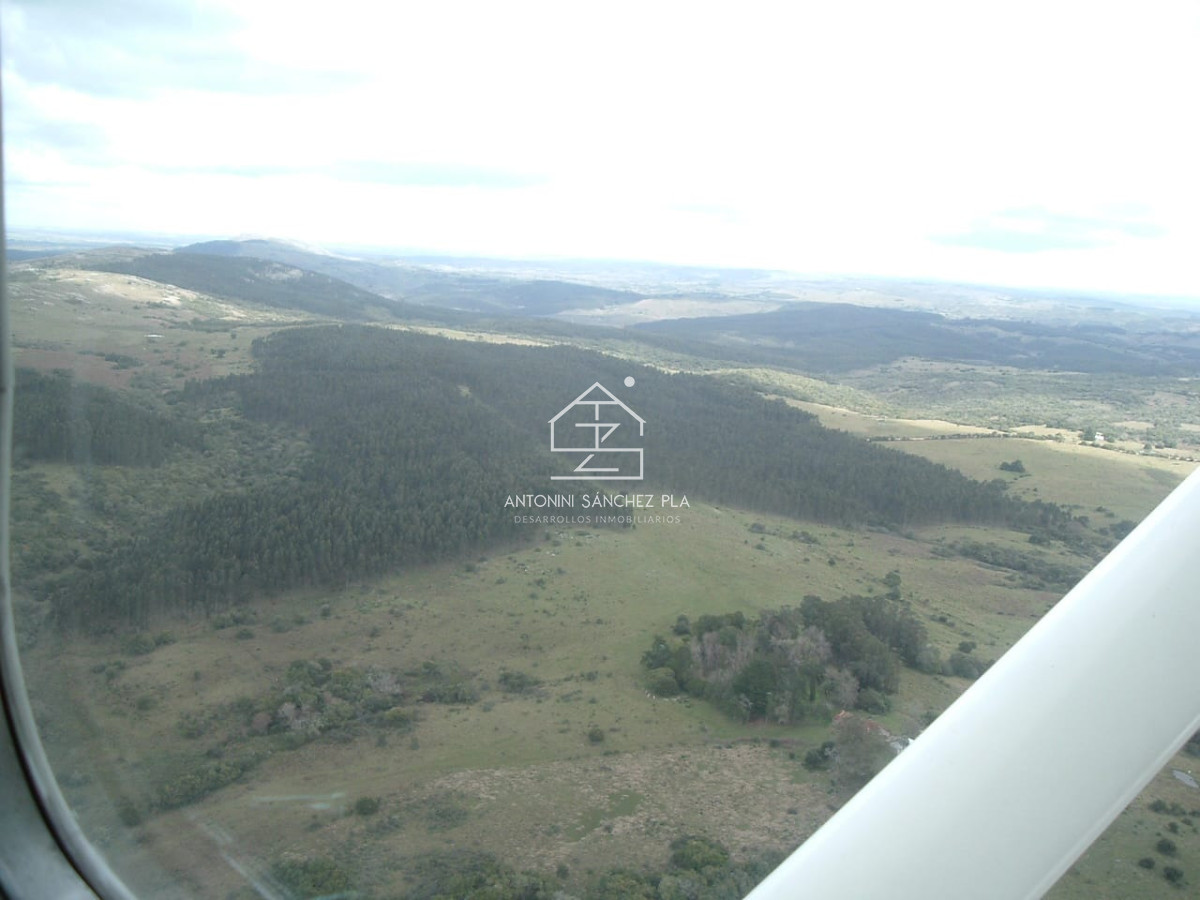 Campo Ref.3990 - Venta Campo Ganadero Forestal Rocha