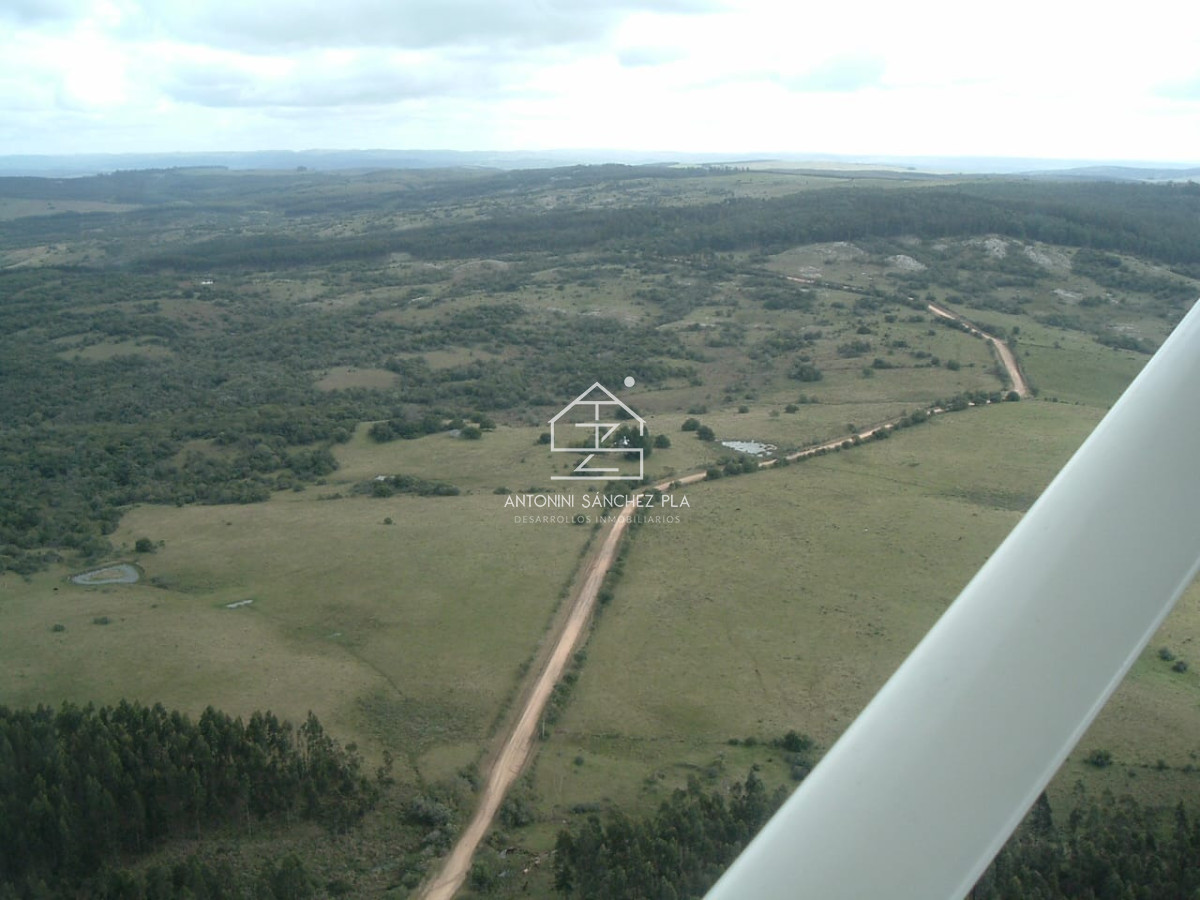 Campo Ref.3990 - Venta Campo Ganadero Forestal Rocha
