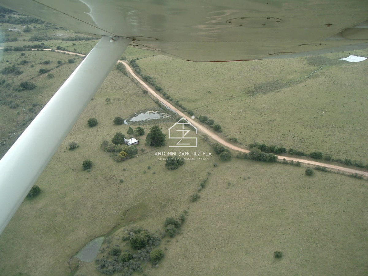 Campo Ref.3990 - Venta Campo Ganadero Forestal Rocha