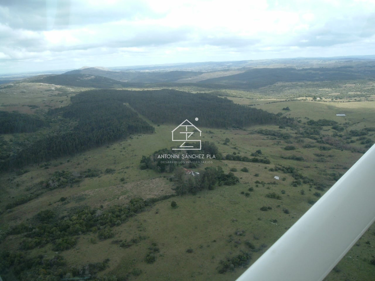 Campo Ref.3990 - Venta Campo Ganadero Forestal Rocha