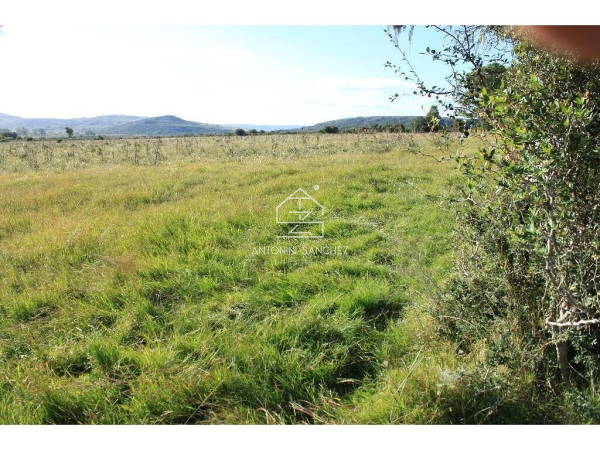 Campo Ref.2567 - VENTA 93 HECTÁREAS MALDONADO 