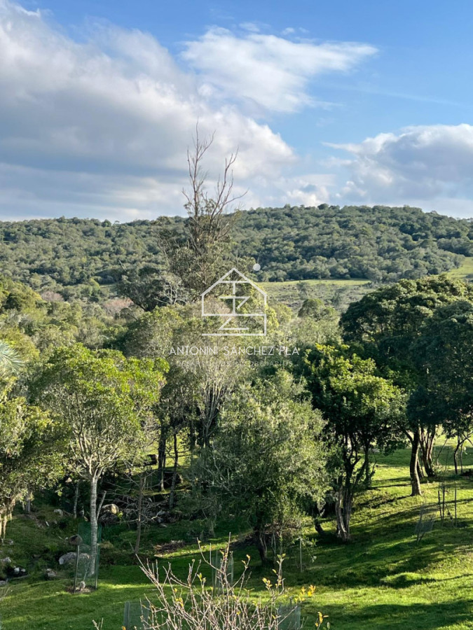 Campo Ref.4009 - Campo chacra en venta Maldonado Cerro Catedral 