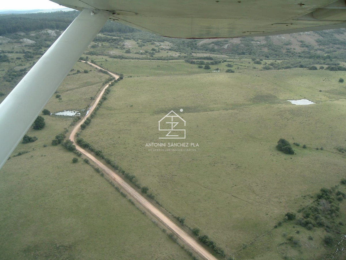 Campo Ref.3990 - Venta Campo Ganadero Forestal Rocha