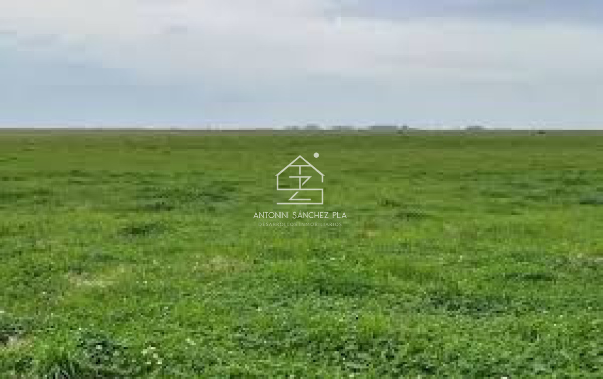 Campo Ref.3594 - EXCELENTE CAMPO EN ROCHA