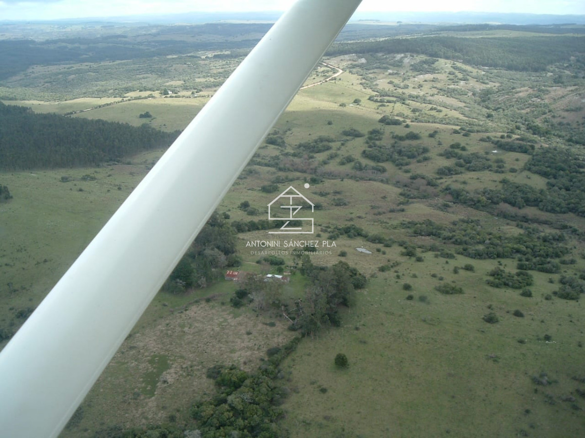 Campo Ref.3990 - Venta Campo Ganadero Forestal Rocha