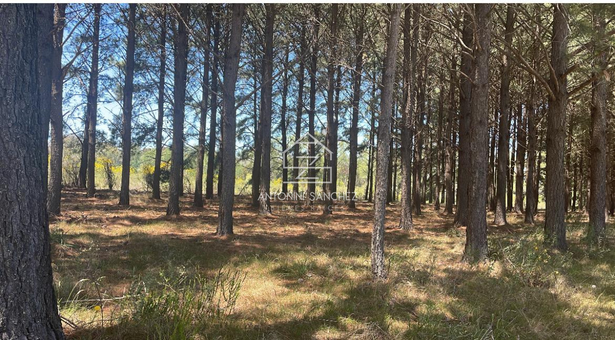 Terreno ID.2281 - Venta de terreno en Chacras del Pinar
