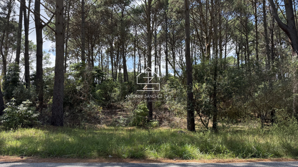 Terreno ID.3124 - Venta terreno hoyo 2 club del lago