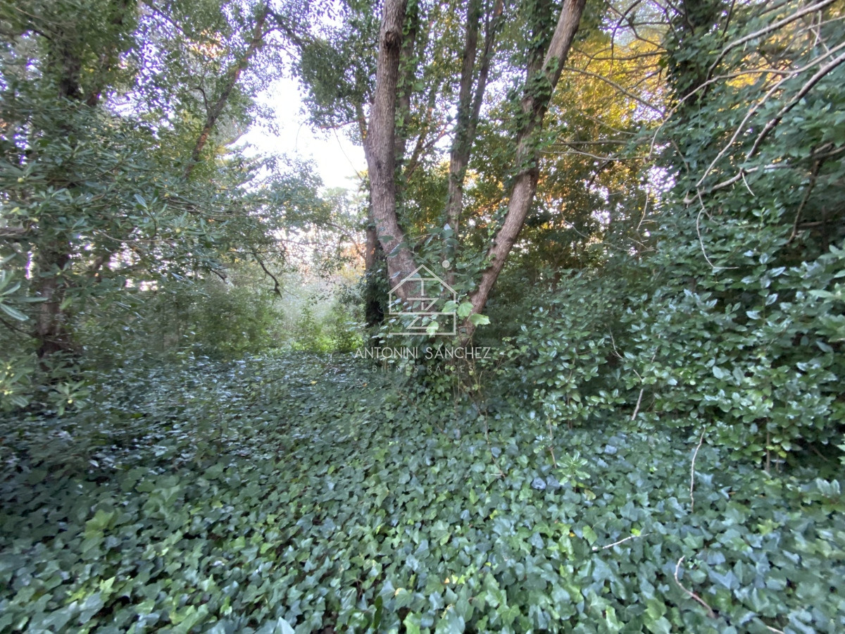Terreno ID.399 - Terreno venta Brava 