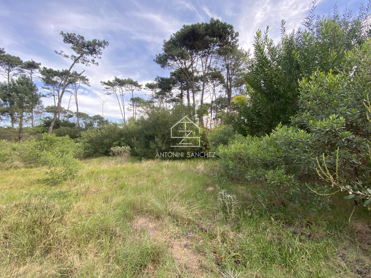 Terreno ID.395 - Terreno Venta Chihuahua