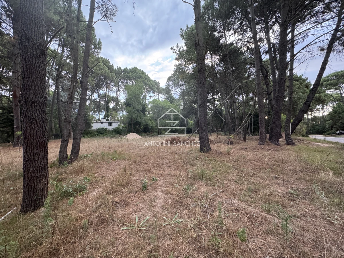 Terreno ID.1710 - Venta Terrreno Punta Ballena