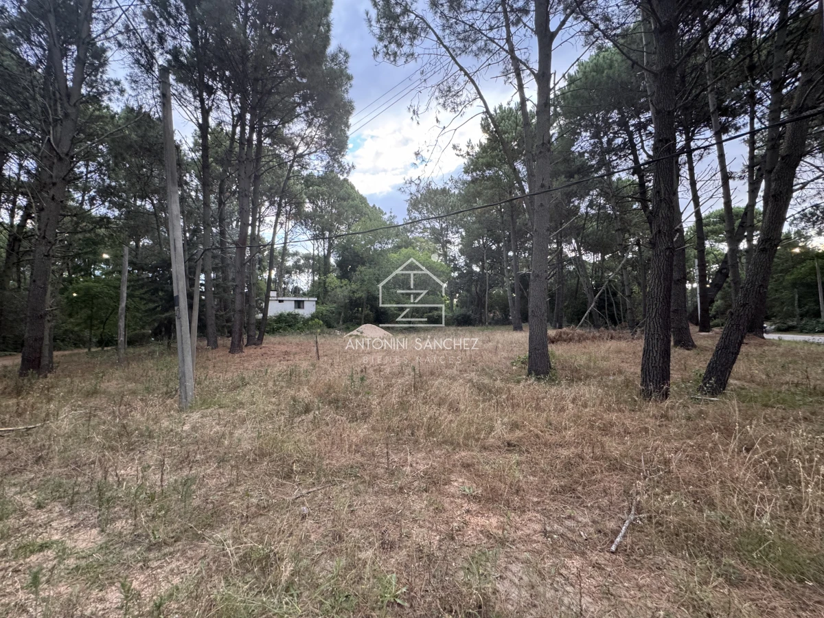 Terreno ID.1710 - Venta Terrreno Punta Ballena