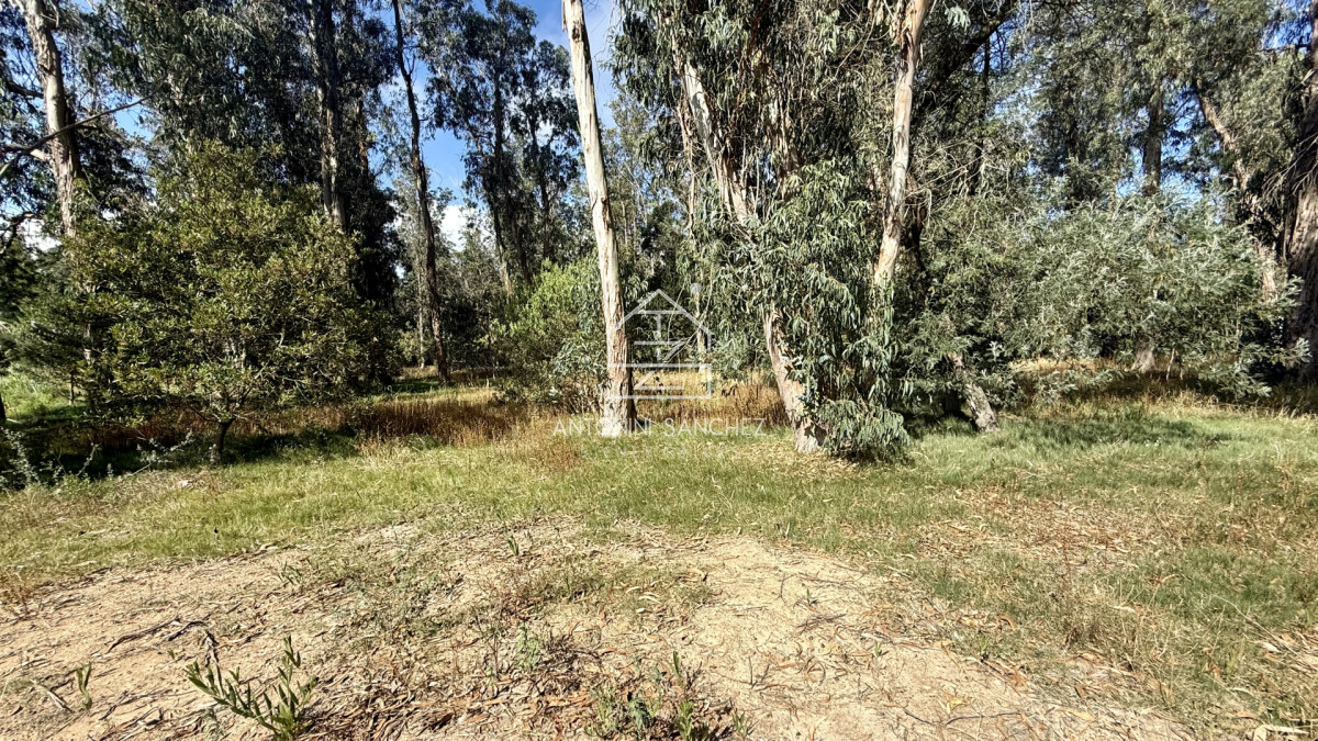 Terreno ID.3098 - VENTA TERRENO MANGRULLOS EL CHORRO LA BARRA PUNTA DEL ESTE