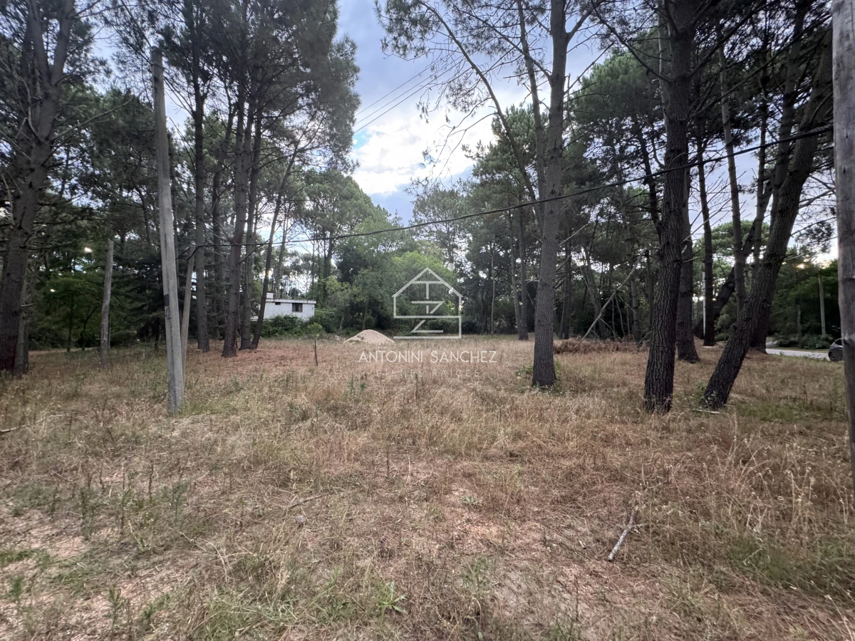 Terreno ID.1710 - Venta Terrreno Punta Ballena