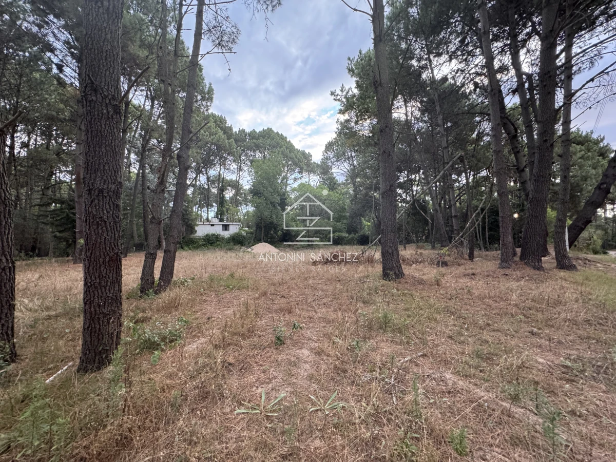 Terreno ID.1710 - Venta Terrreno Punta Ballena