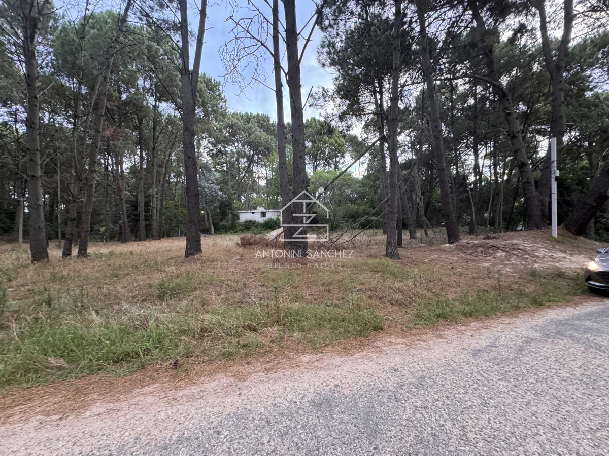 Terreno ID.1710 - Venta Terrreno Punta Ballena