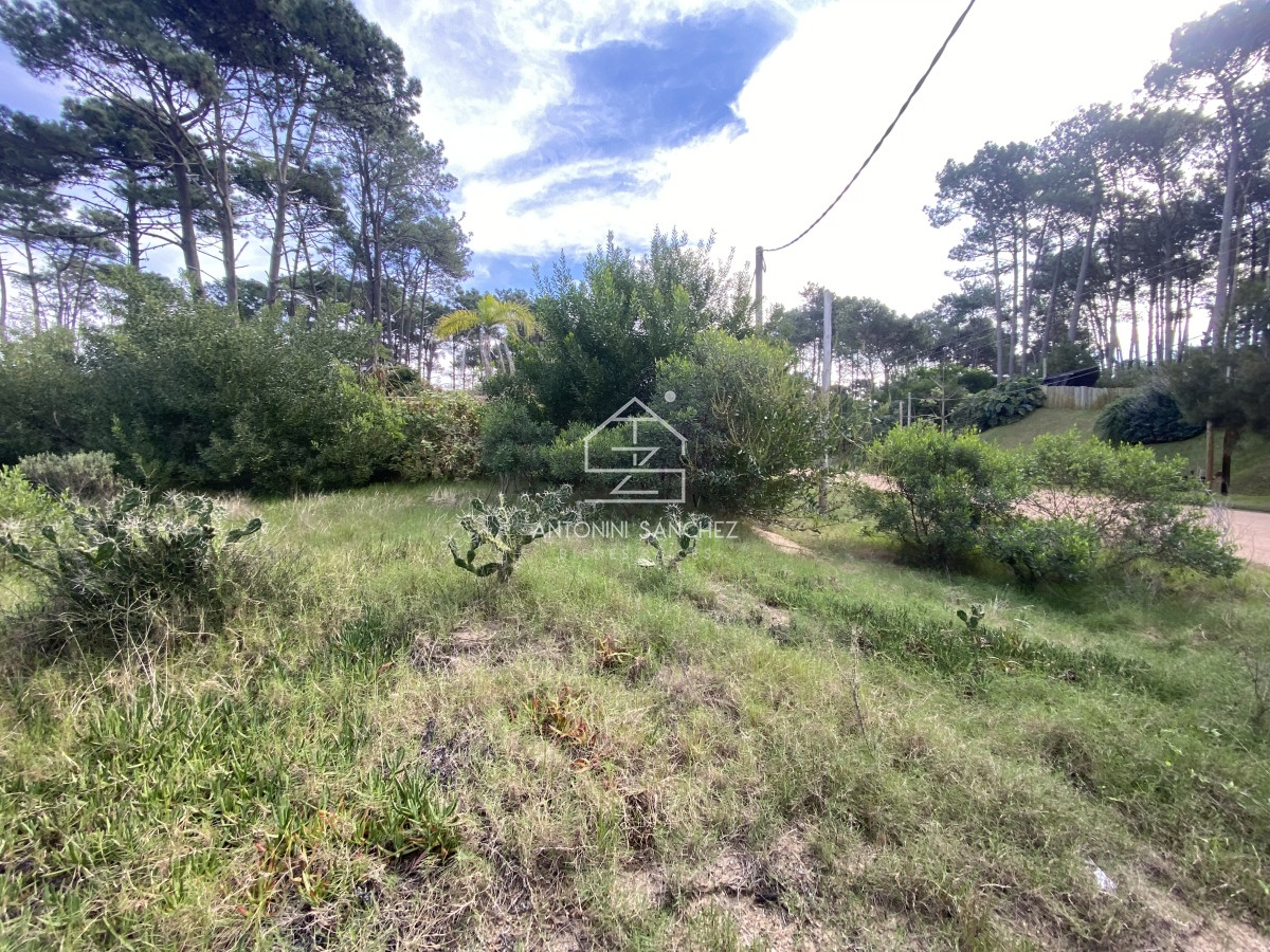 Terreno ID.395 - Terreno Venta Chihuahua