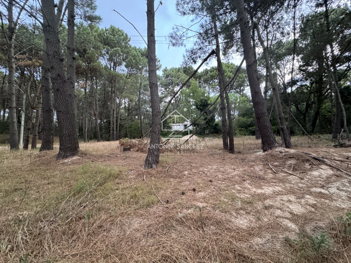 Terreno ID.1710 - Venta Terrreno Punta Ballena