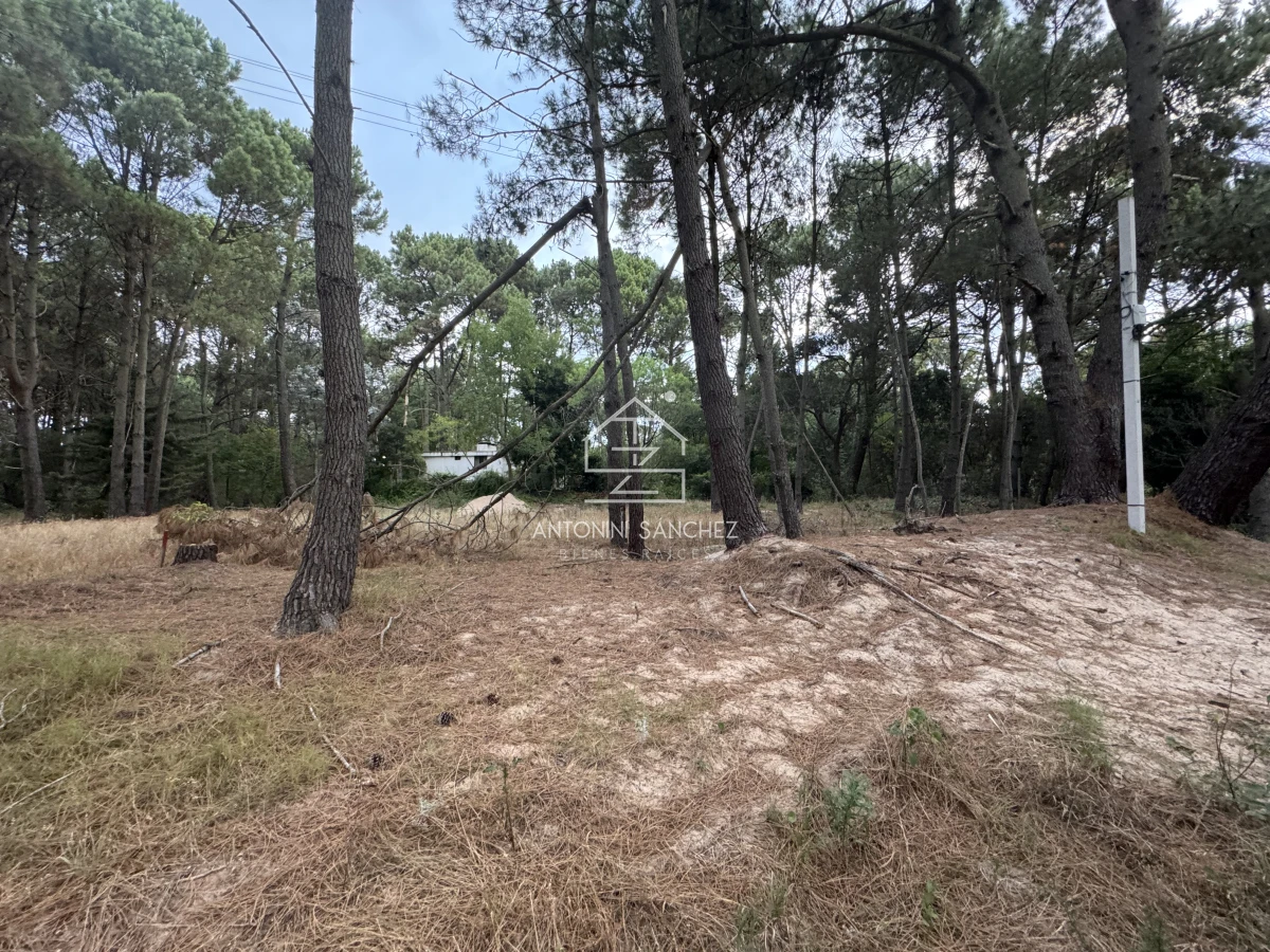 Terreno ID.1710 - Venta Terrreno Punta Ballena