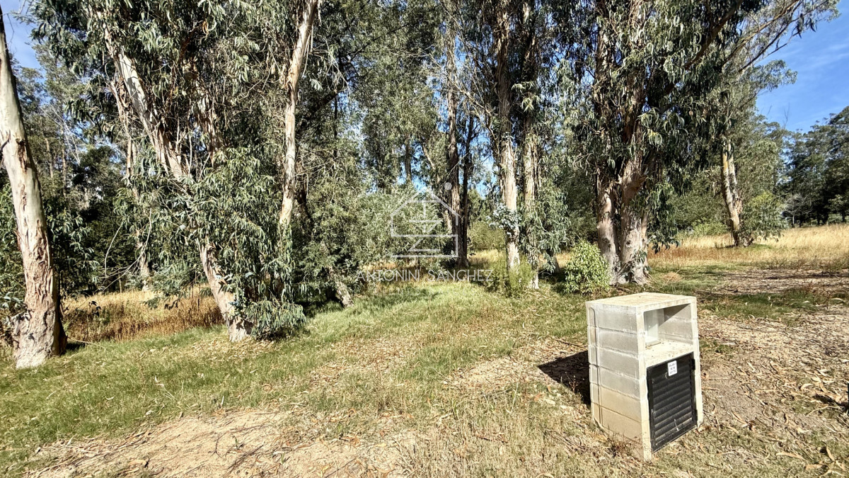 Terreno ID.3098 - VENTA TERRENO MANGRULLOS EL CHORRO LA BARRA PUNTA DEL ESTE