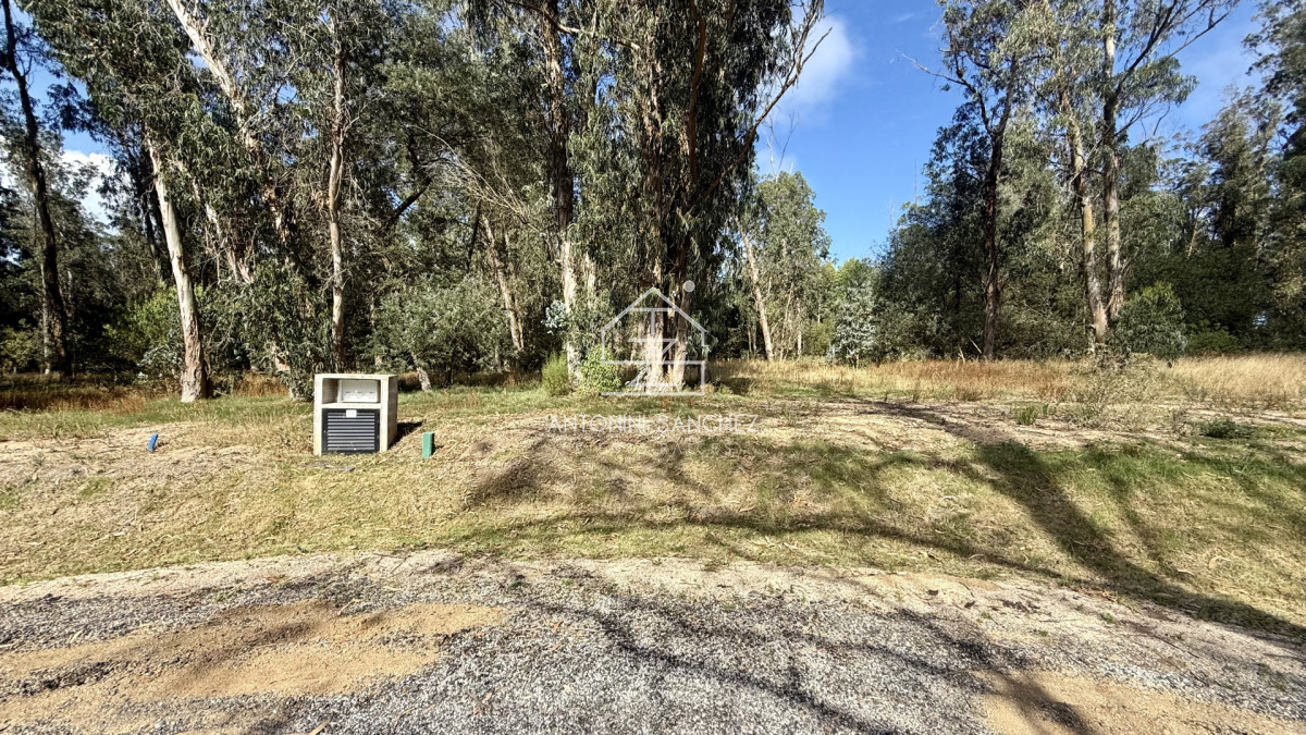 Terreno ID.3098 - VENTA TERRENO MANGRULLOS EL CHORRO LA BARRA PUNTA DEL ESTE