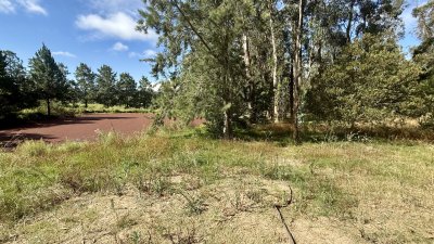 VENTA TERRENO MANGRULLOS EL CHORRO LA BARRA PUNTA DEL ESTE