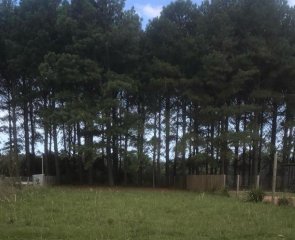 Venta de terreno en Chacras del Pinar