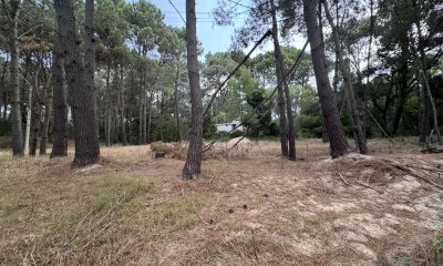 Venta Terrreno Punta Ballena