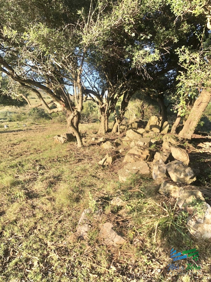 Pueblo Eden - GoPunta - Portal Inmobiliario de Punta del Este - Maldonado