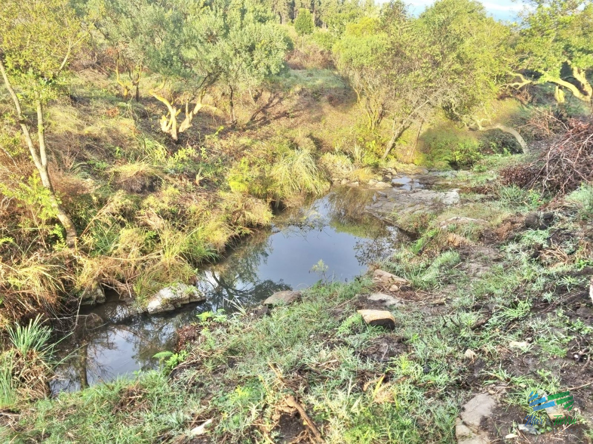 Chacra ID.4956 - Excelente Chacra 11 hectáreas Pueblo Eden 