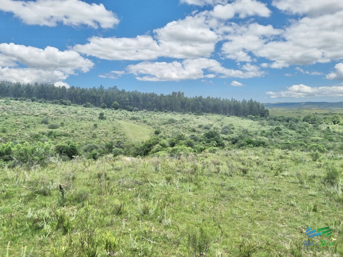 Chacra ID.4956 - Excelente Chacra 11 hectáreas Pueblo Eden 
