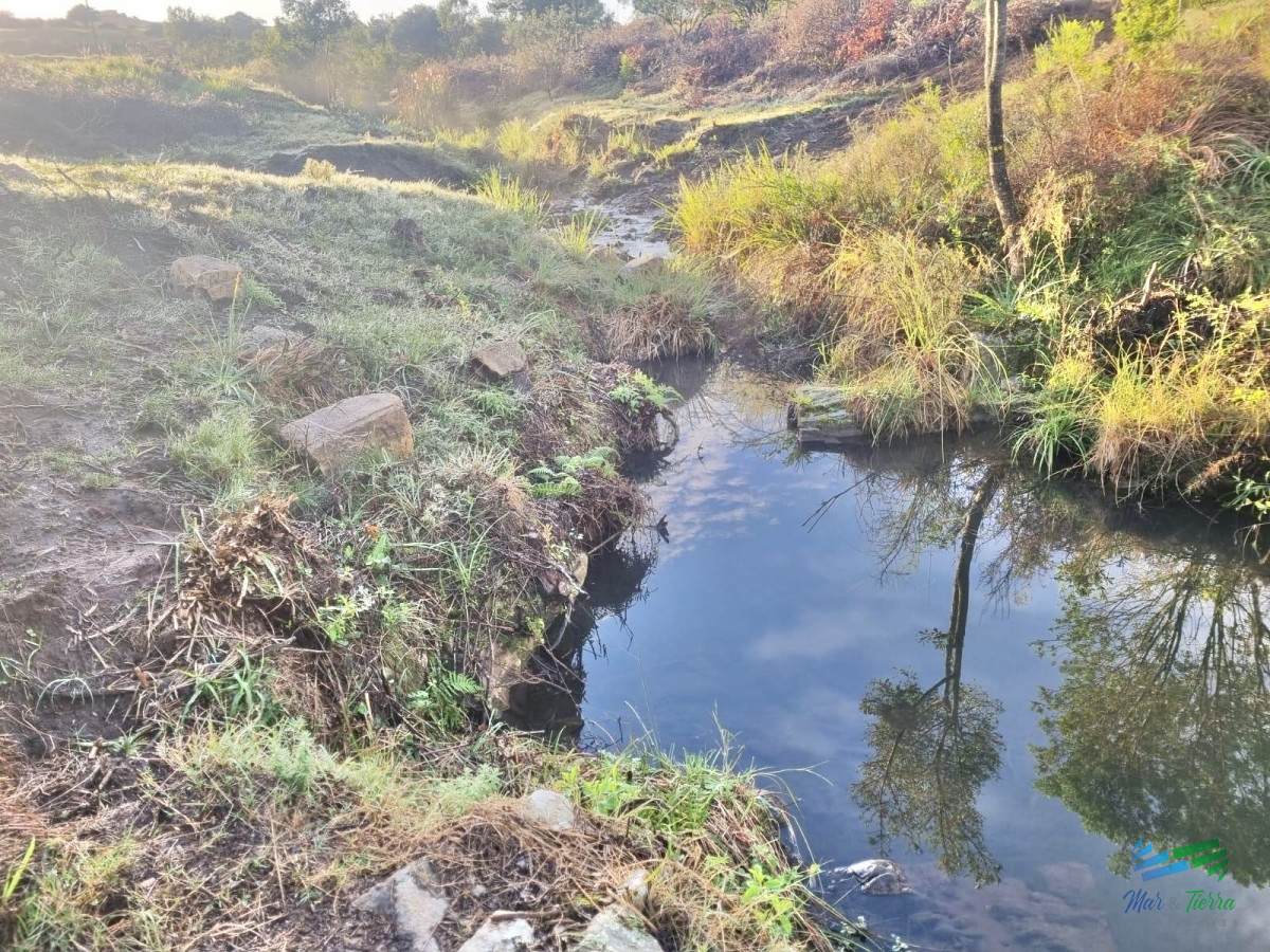Chacra ID.4956 - Excelente Chacra 11 hectáreas Pueblo Eden 