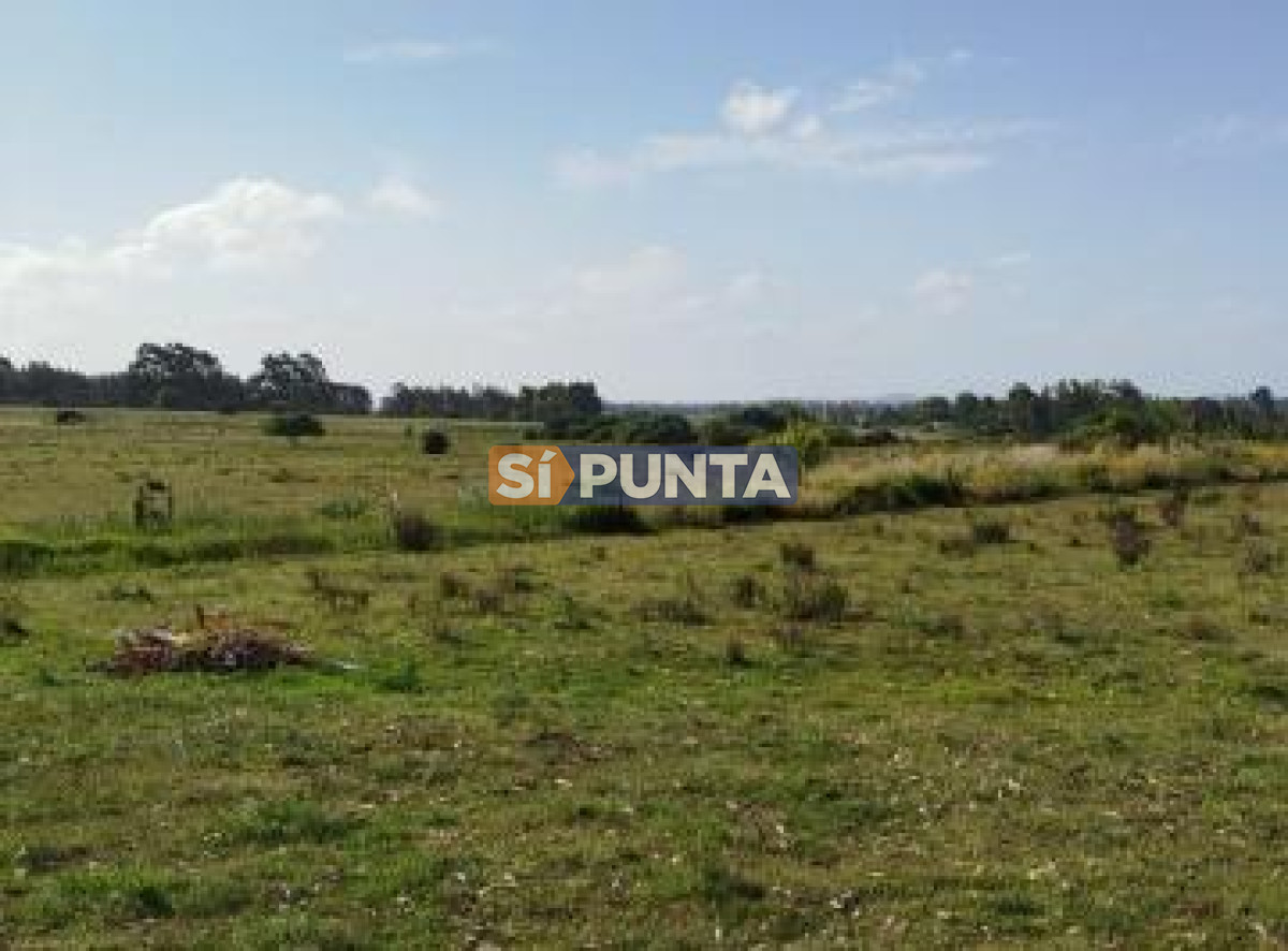 Excelente Chacra 10hás José Ignacio  - SPT11758H