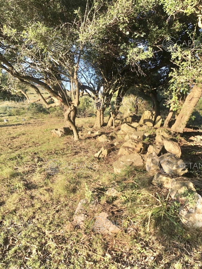 Pueblo Eden - GoPunta - Portal Inmobiliario de Punta del Este - Maldonado