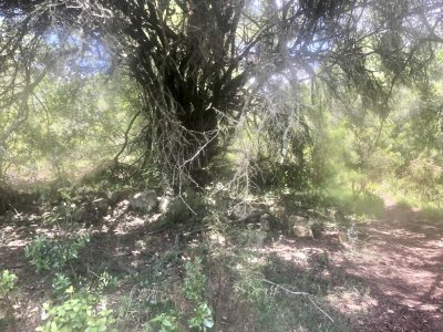 Venta Chacra 11 hectáreas Pueblo Edén, Maldonado.  