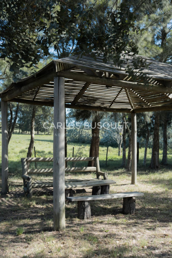 Chacra ID.1166 - Excelente Chacra 5hás en Pueblo Edén 