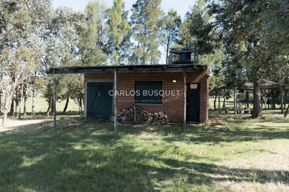 Chacra ID.1166 - Excelente Chacra 5hás en Pueblo Edén 