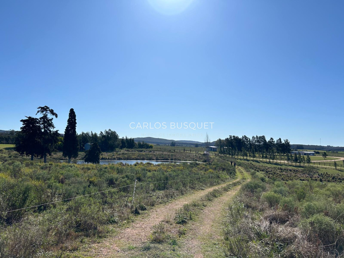 Chacra ID.1164 - Excelente Chacra de 5 hectareas lista para disfrutar