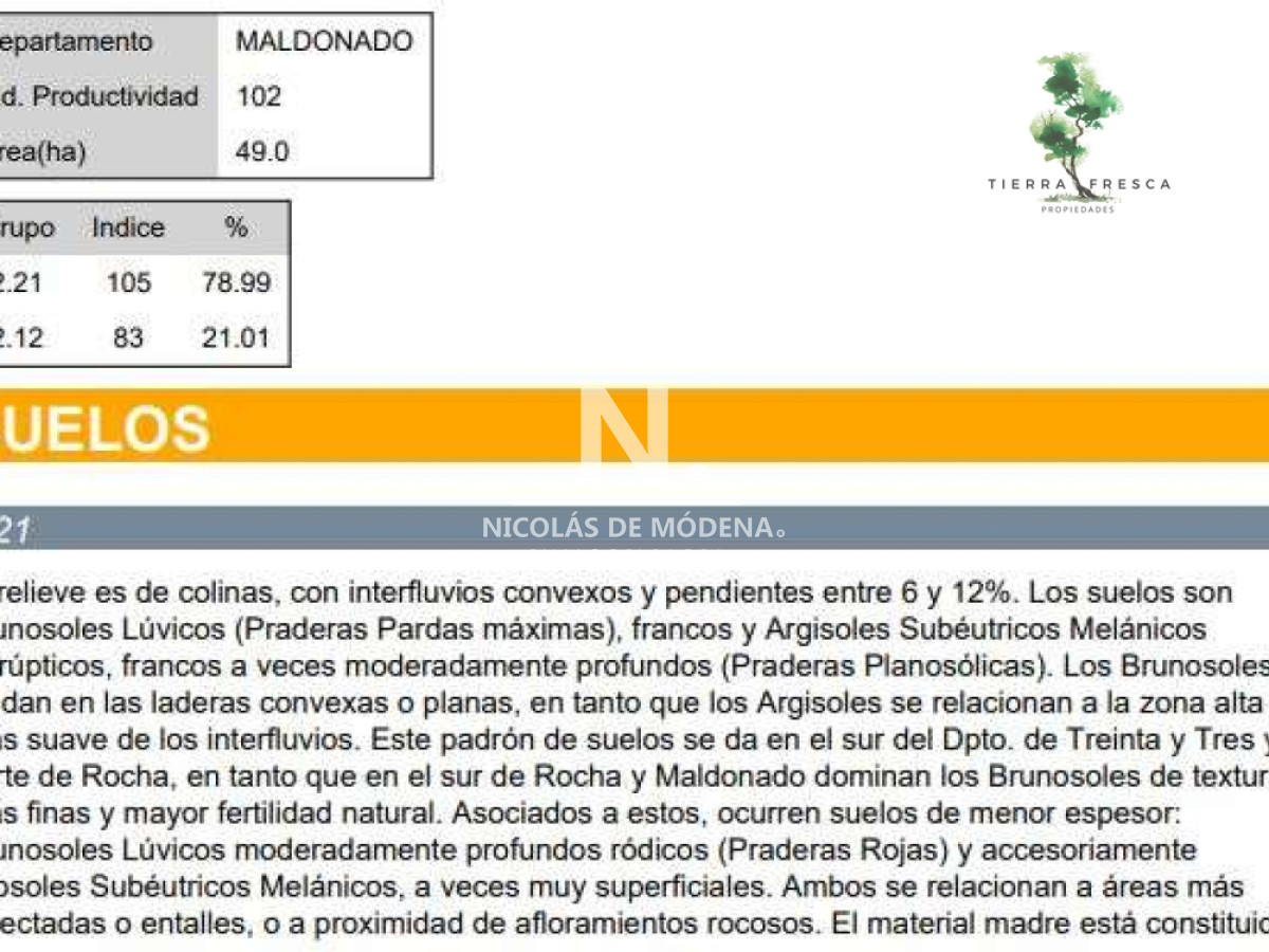 Campo