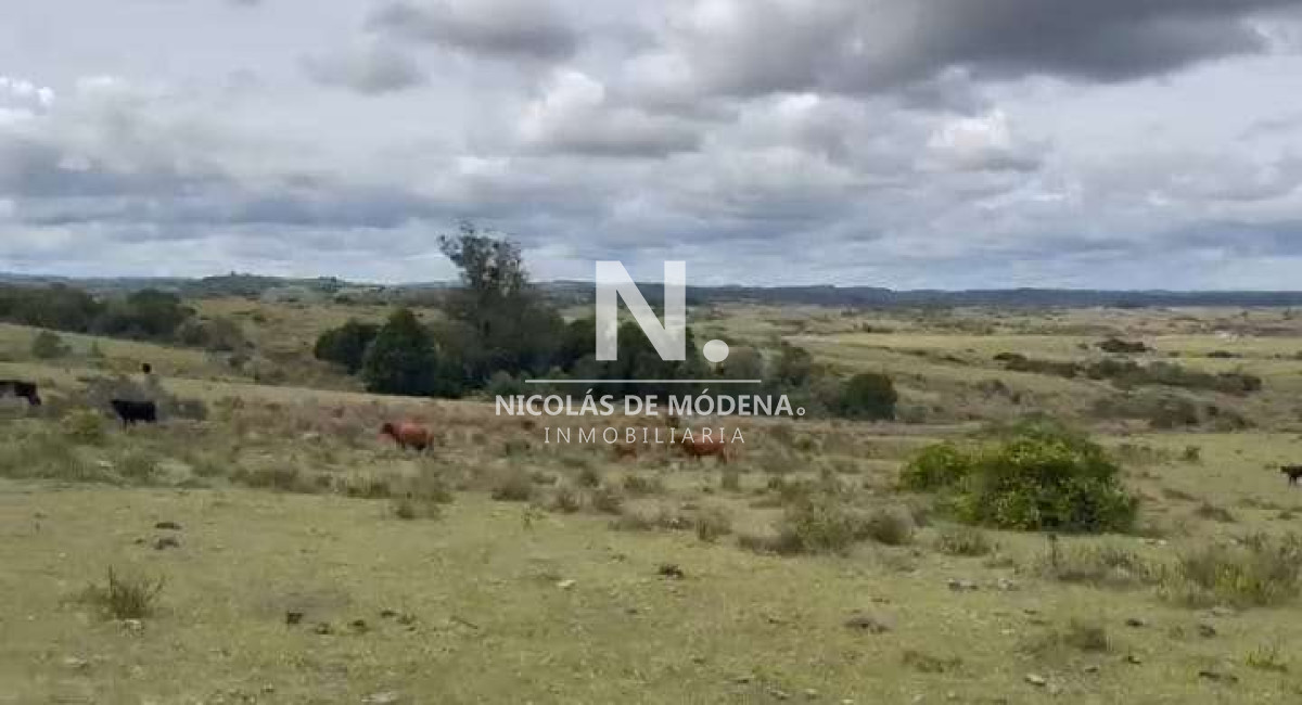 Venta Campo en Maldonado 127 ha - GoPunta - Portal Inmobiliario de Punta del Este - Maldonado