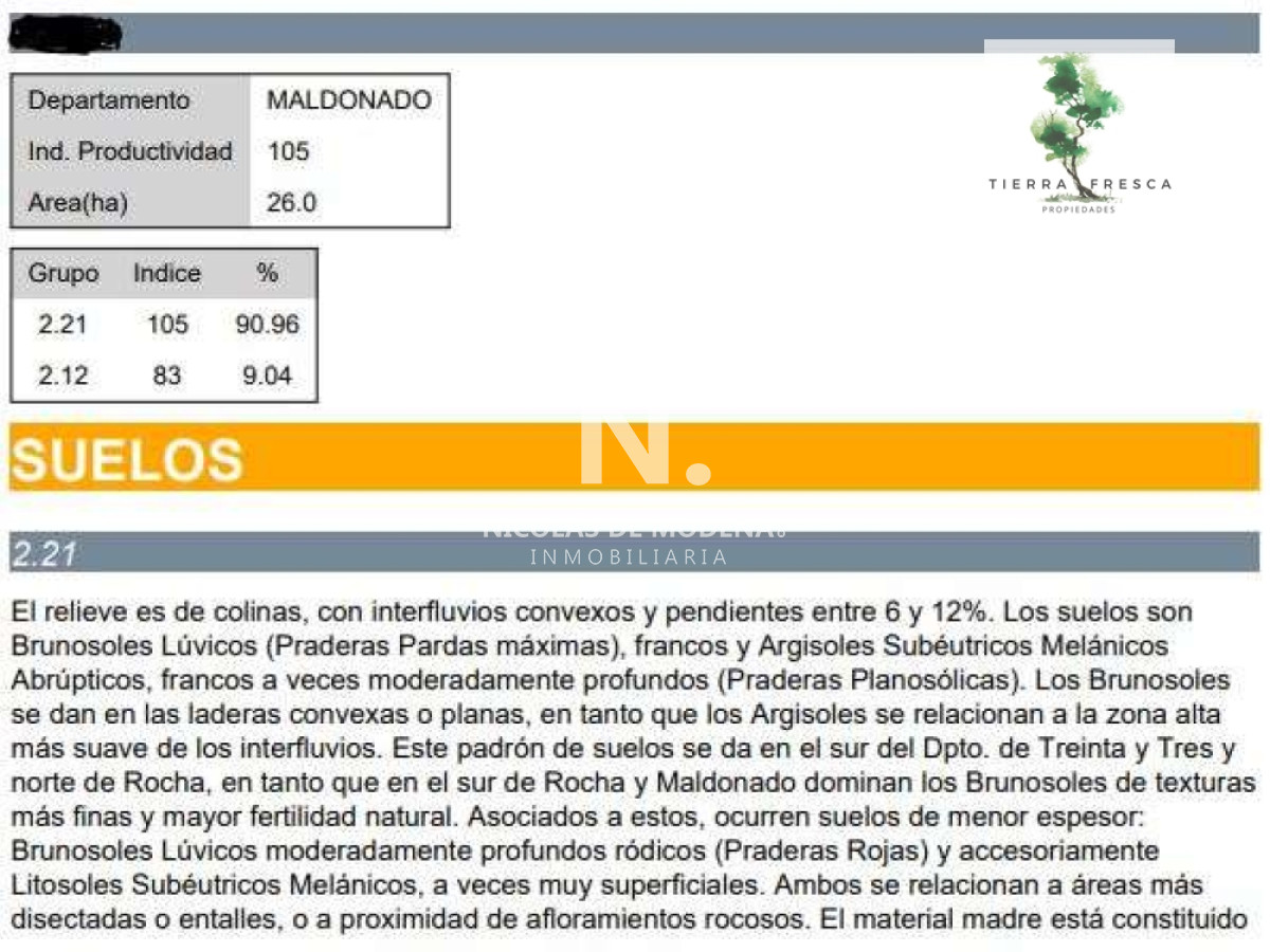 Campo