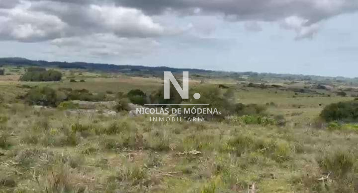 Campo