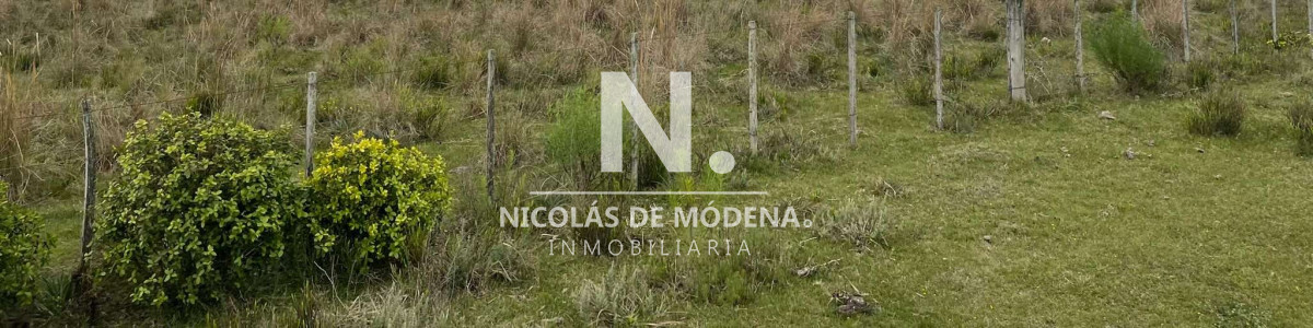 Campo