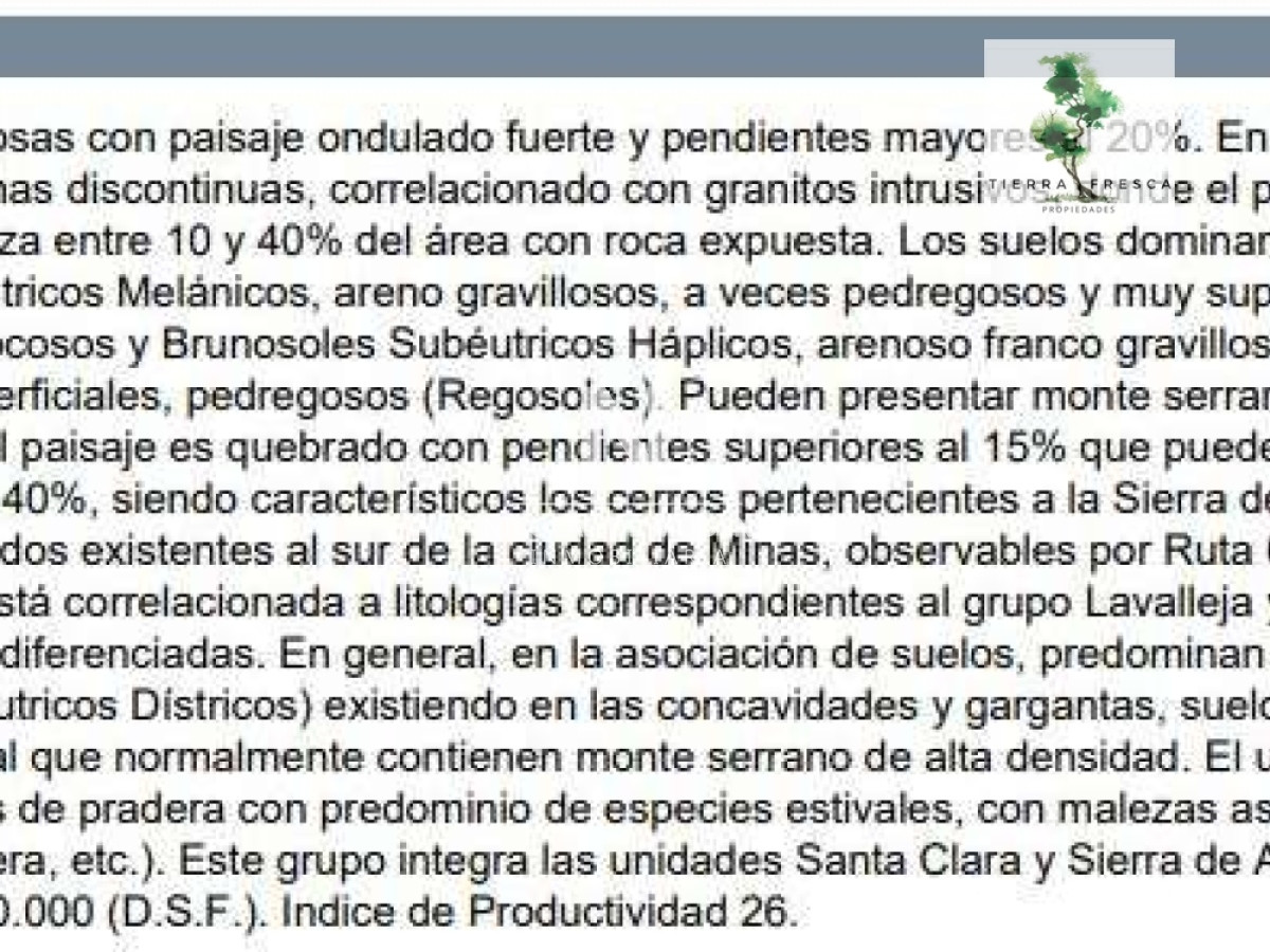Campo