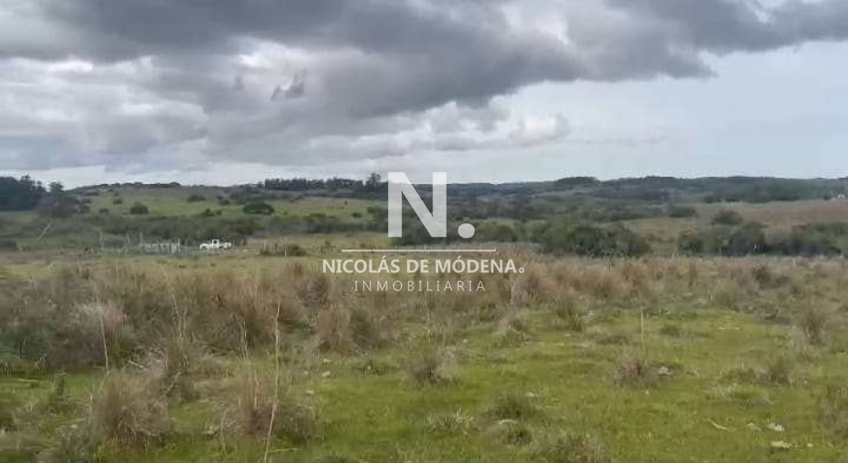 Venta Campo en Maldonado 127 ha - GoPunta - Portal Inmobiliario de Punta del Este - Maldonado