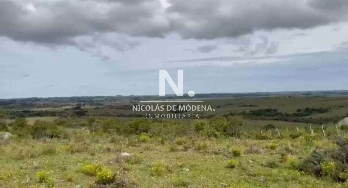 Venta Campo en Maldonado 127 ha - GoPunta - Portal Inmobiliario de Punta del Este - Maldonado