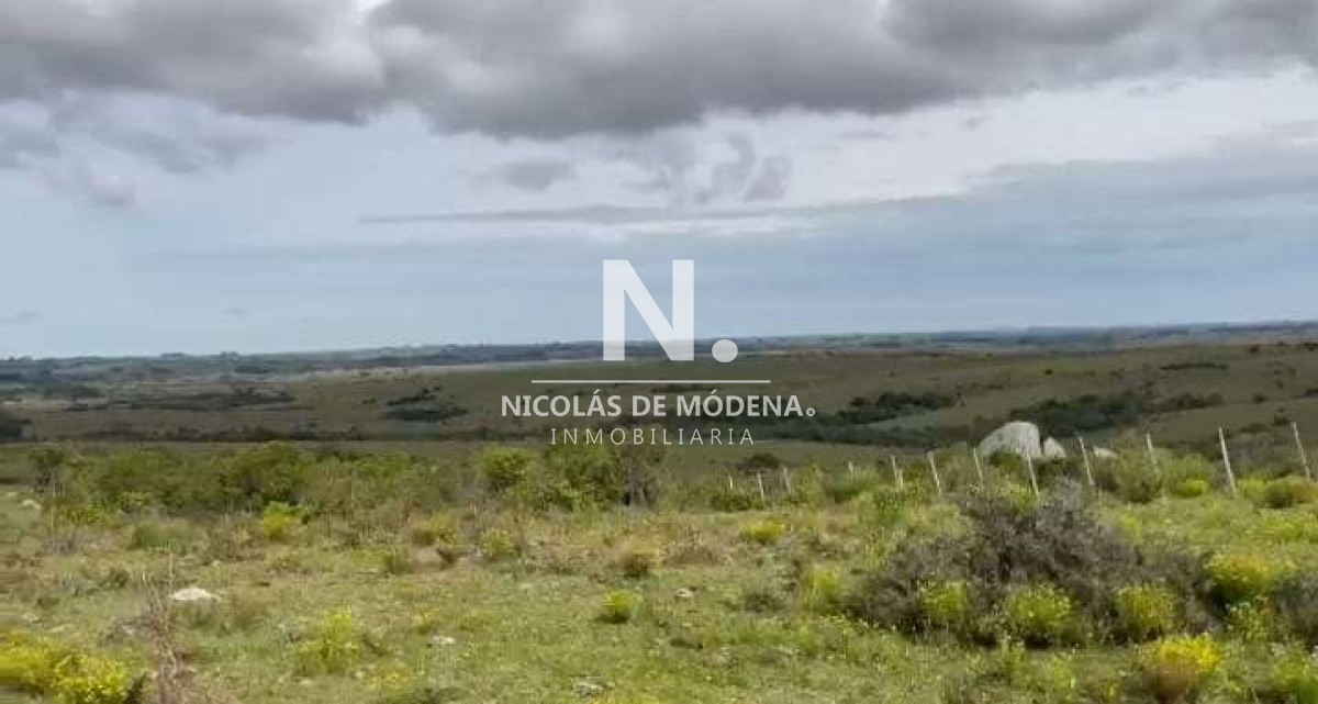 Campo