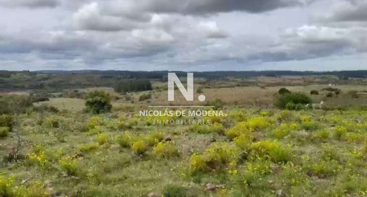 Venta Campo en Maldonado 127 ha - GoPunta - Portal Inmobiliario de Punta del Este - Maldonado