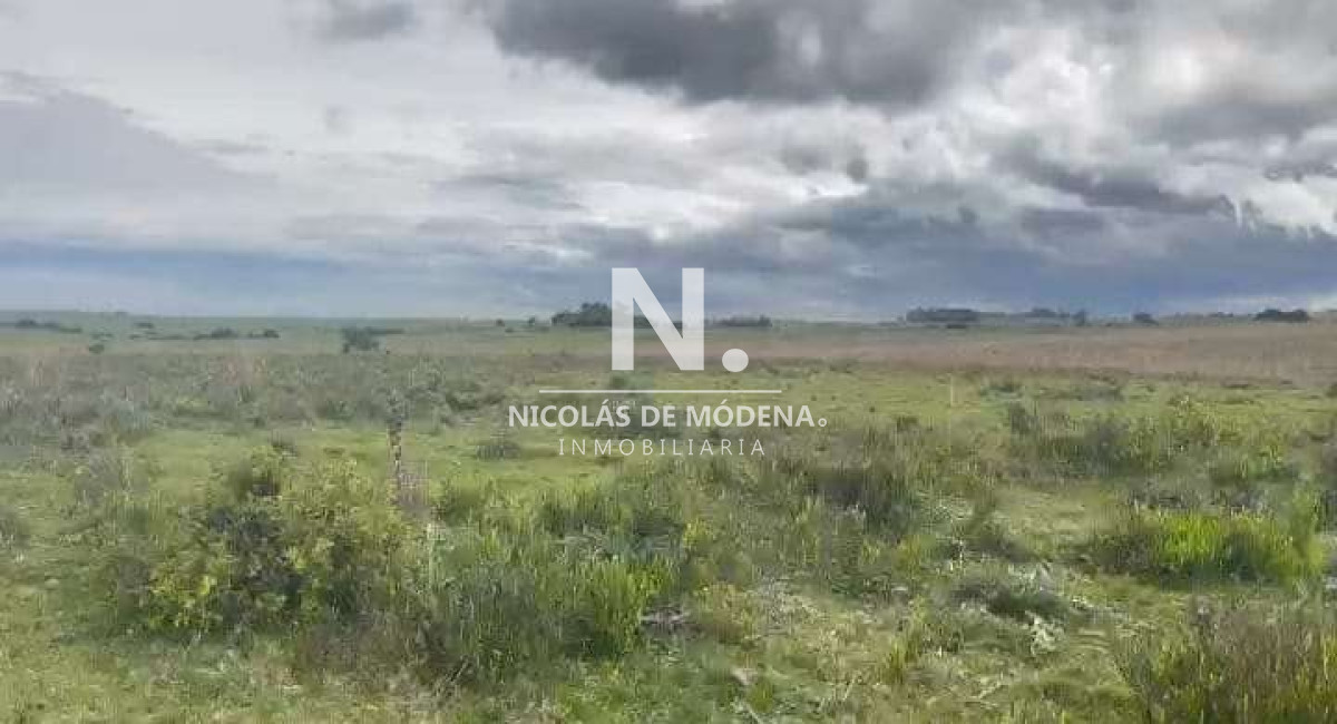 Venta Campo en Maldonado 127 ha - GoPunta - Portal Inmobiliario de Punta del Este - Maldonado