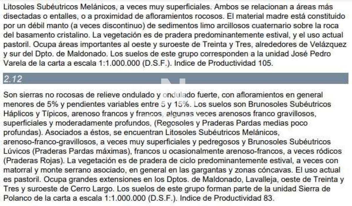 Campo