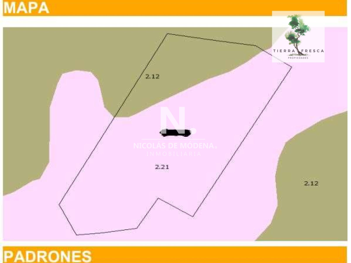 Campo
